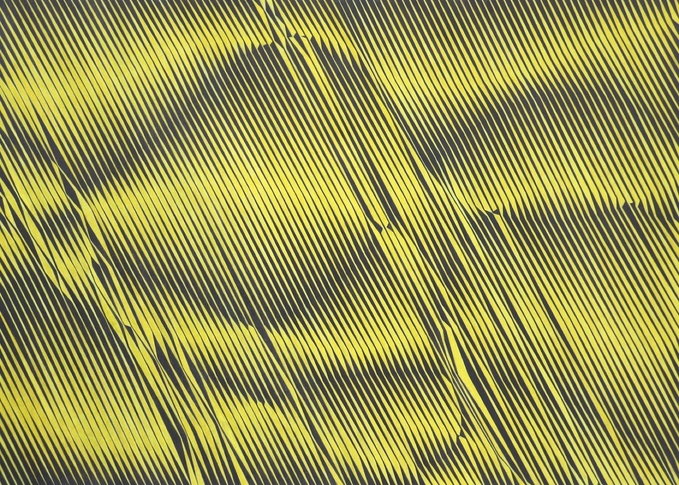 Elles vont et viennent, 2019