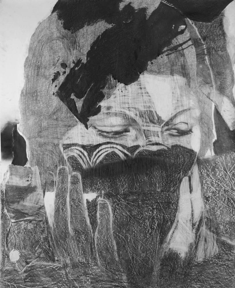 Les oiseaux vont d�vorer la chair des princes, 2019