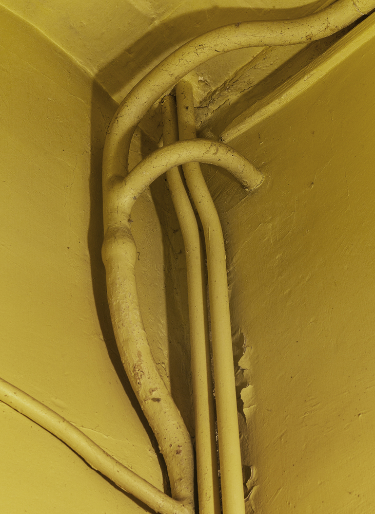 Les Orphelins #2, 2019