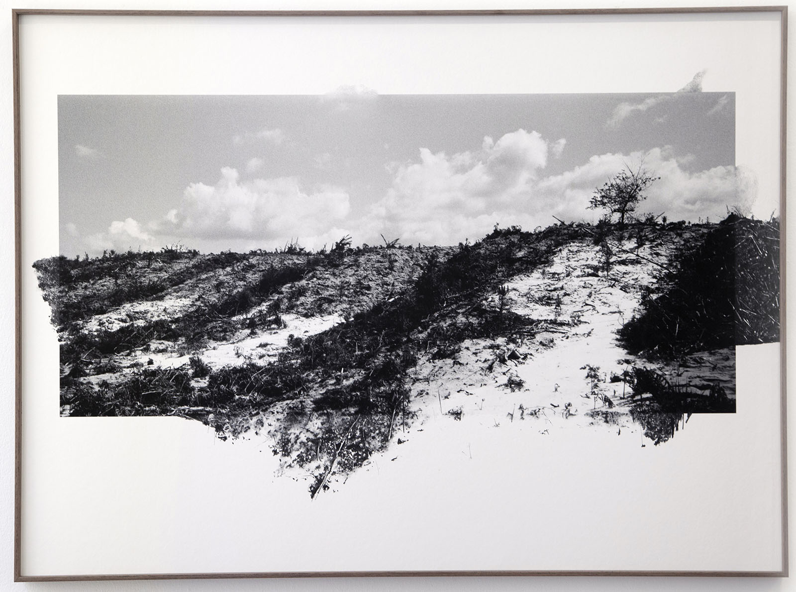 Traces de silence #07B (1 200 euros), 2024