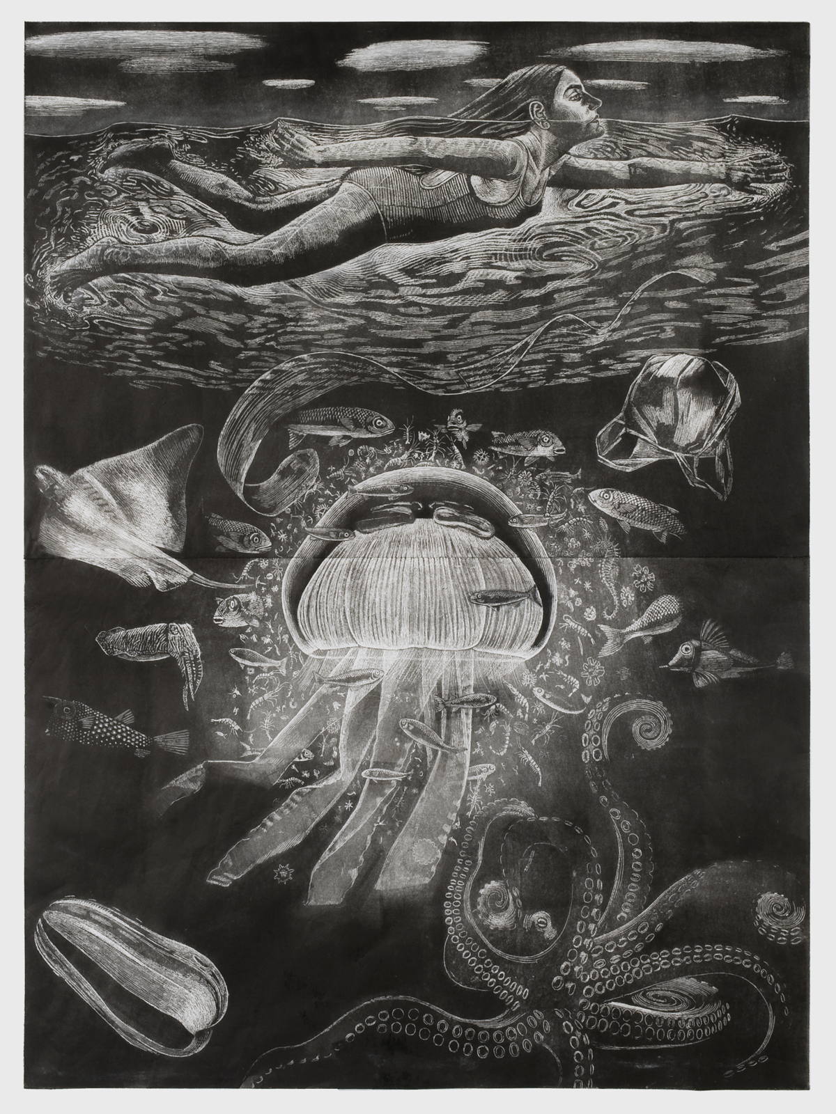 Un Monde en profondeur, 2013 - 2014