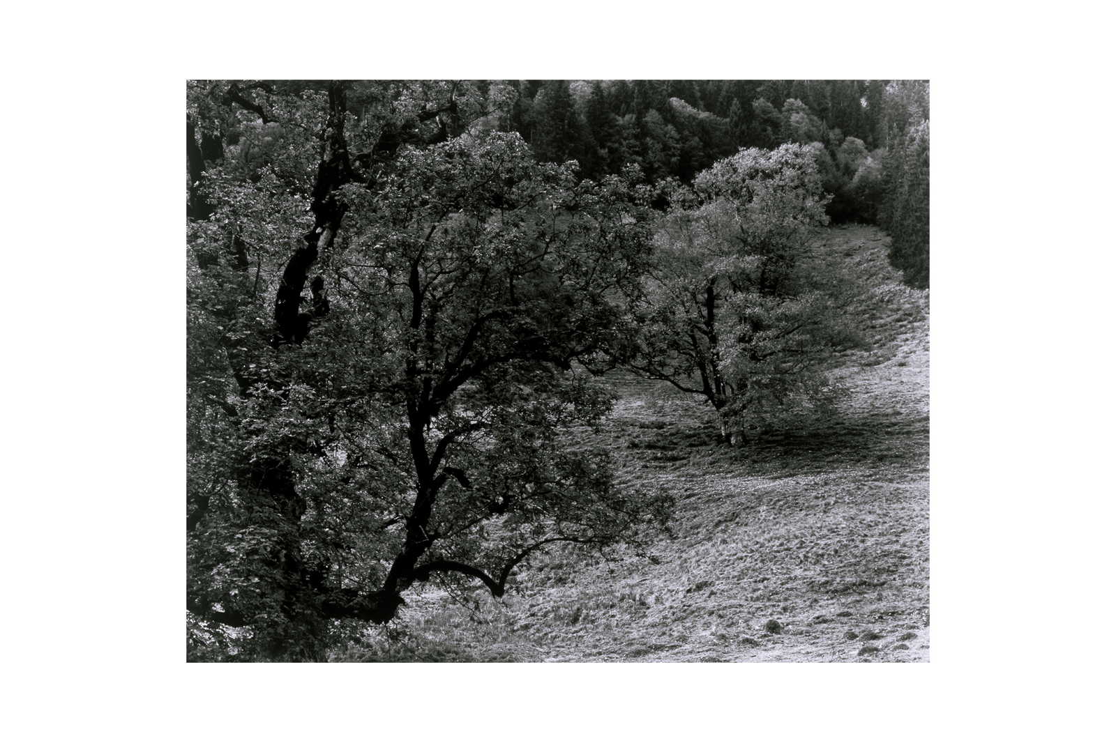 Cl�nthal II, 2002 - 2003