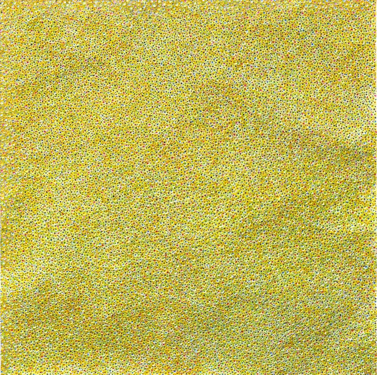 Glisse, contourne et perce, 2016