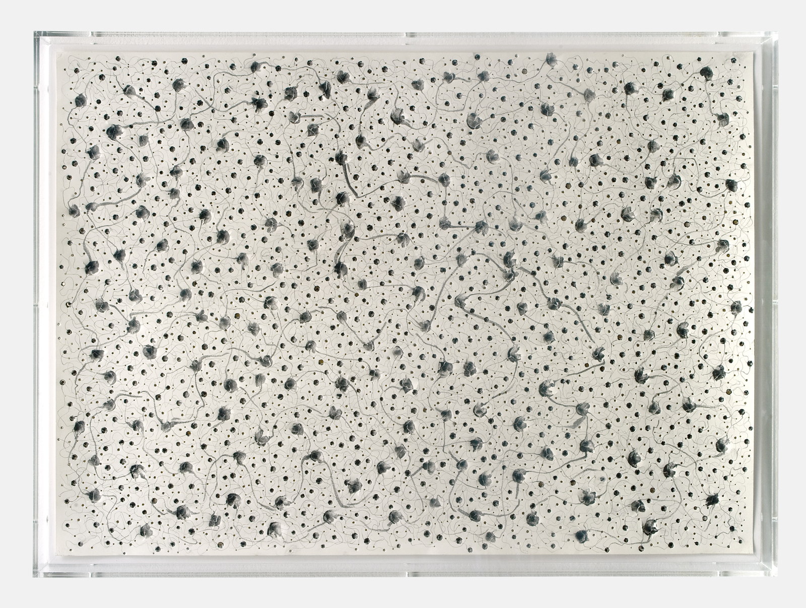 Glisse, pointe et perce, 2014