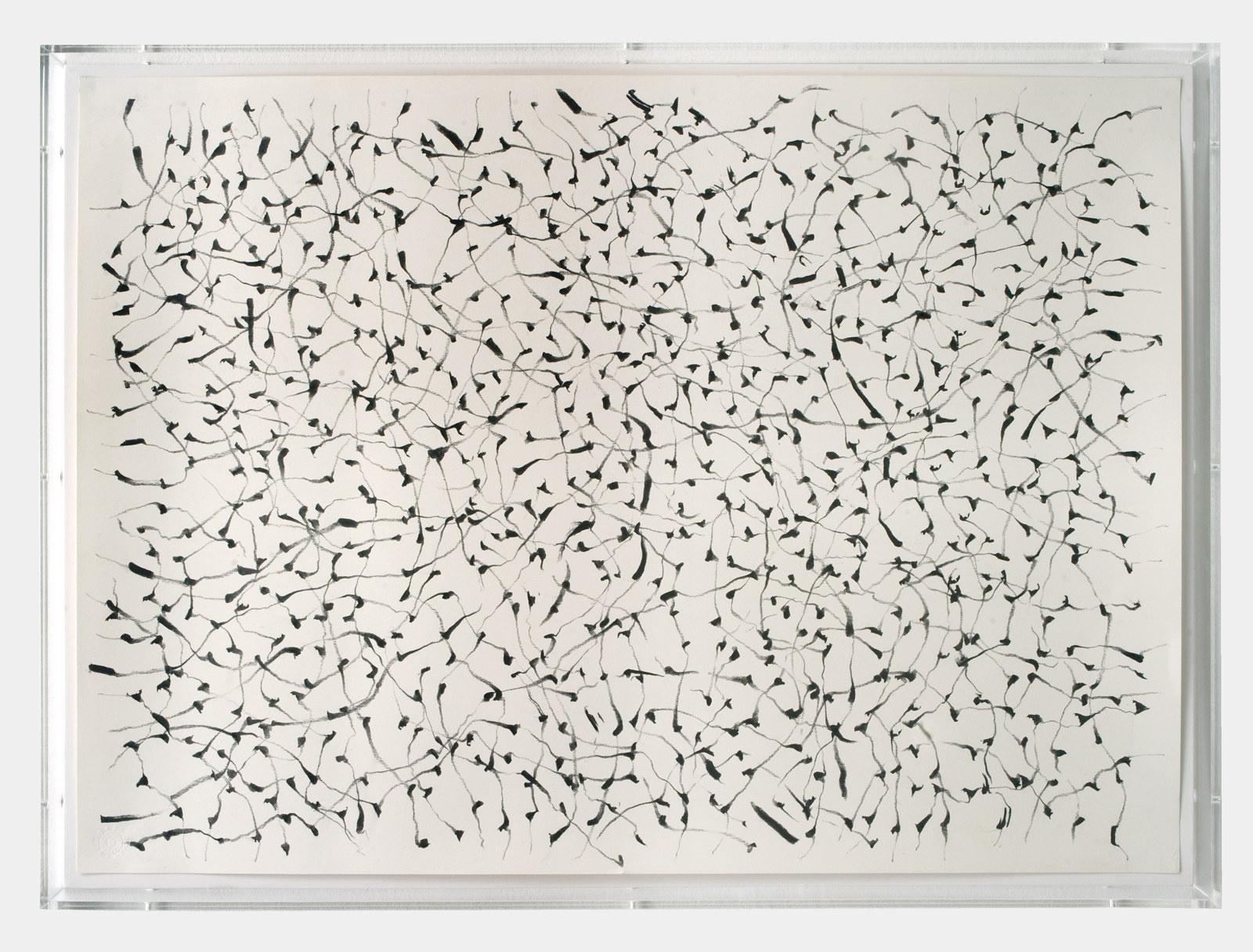 Glisse, appuie large, 2014