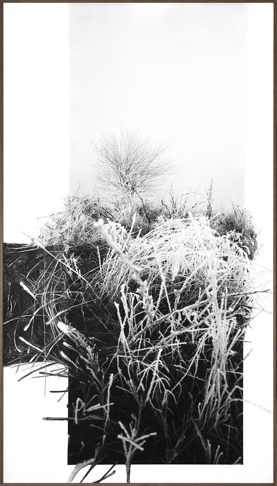 Strange place for sunrise #2, 2024