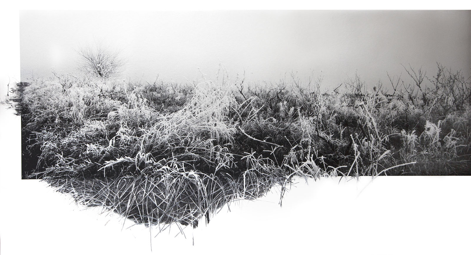 Strange place for sunrise #3, 2024