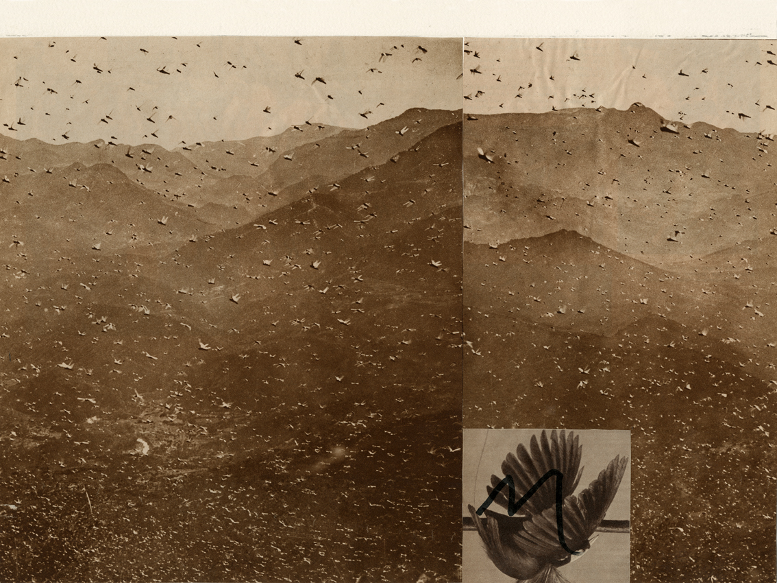 Abaiss�e - planche tir�e du portfolio 