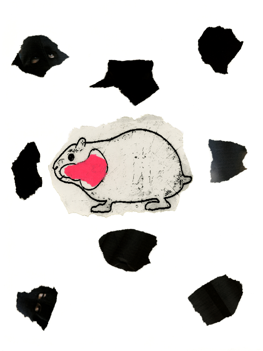 Abajoues - planche tir�e du portfolio 