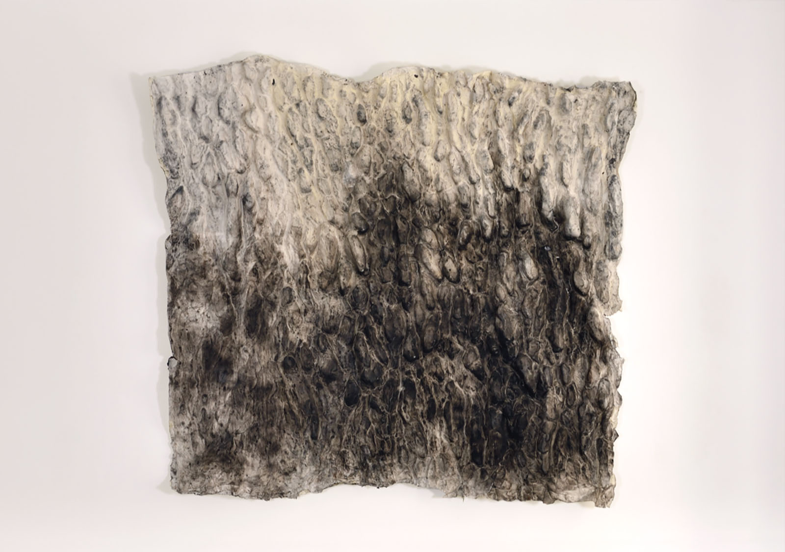 A waste of paper, 2020