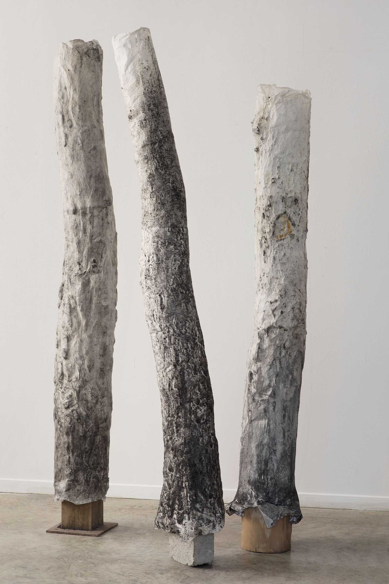 Waste of paper, 2020