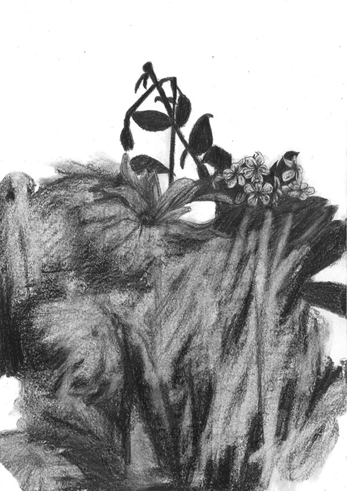 Pr�mices de sublime inutilit� #5, 2016