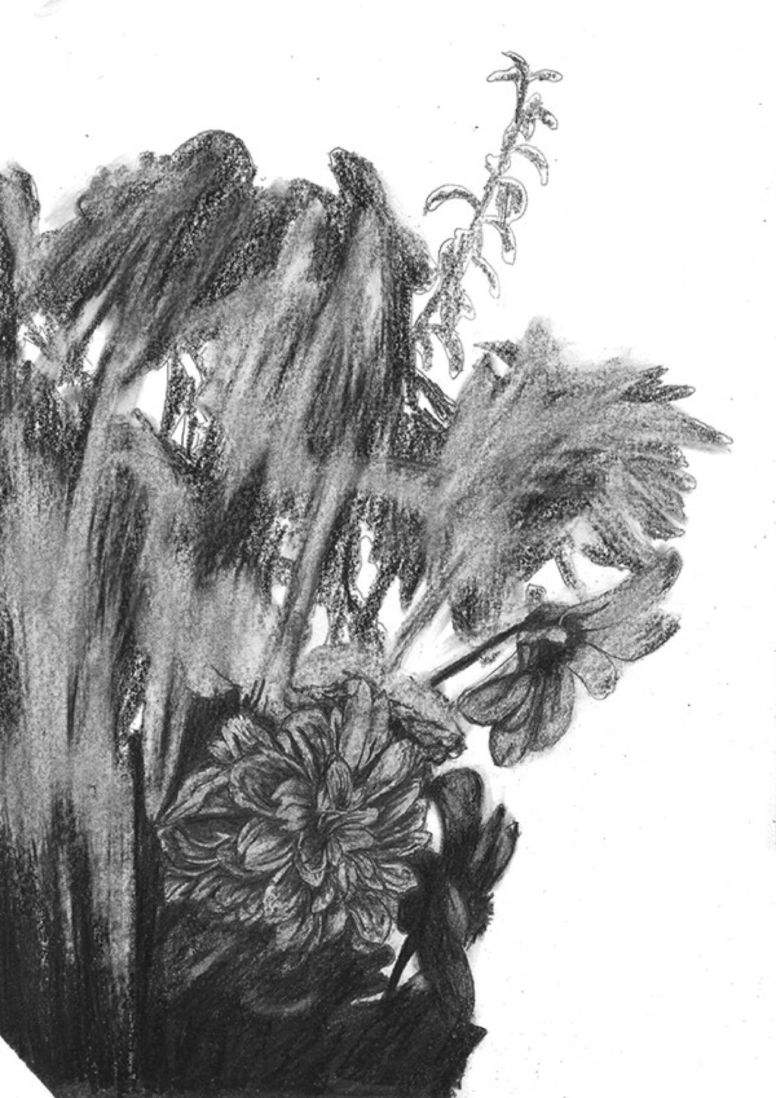 Pr�mices de sublime inutilit� #2, 2016