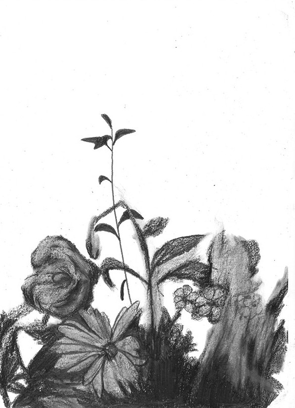 Pr�mices de sublime inutilit� #9, 2016