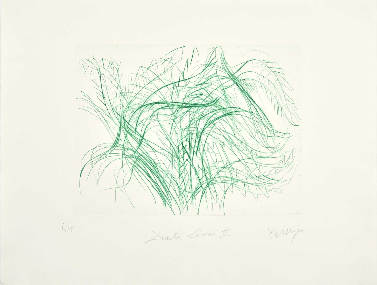 Denti Leoni II, 1992