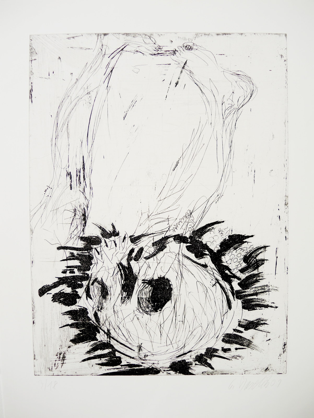 Fridas Traum [Le r�ve de Frida], 2001