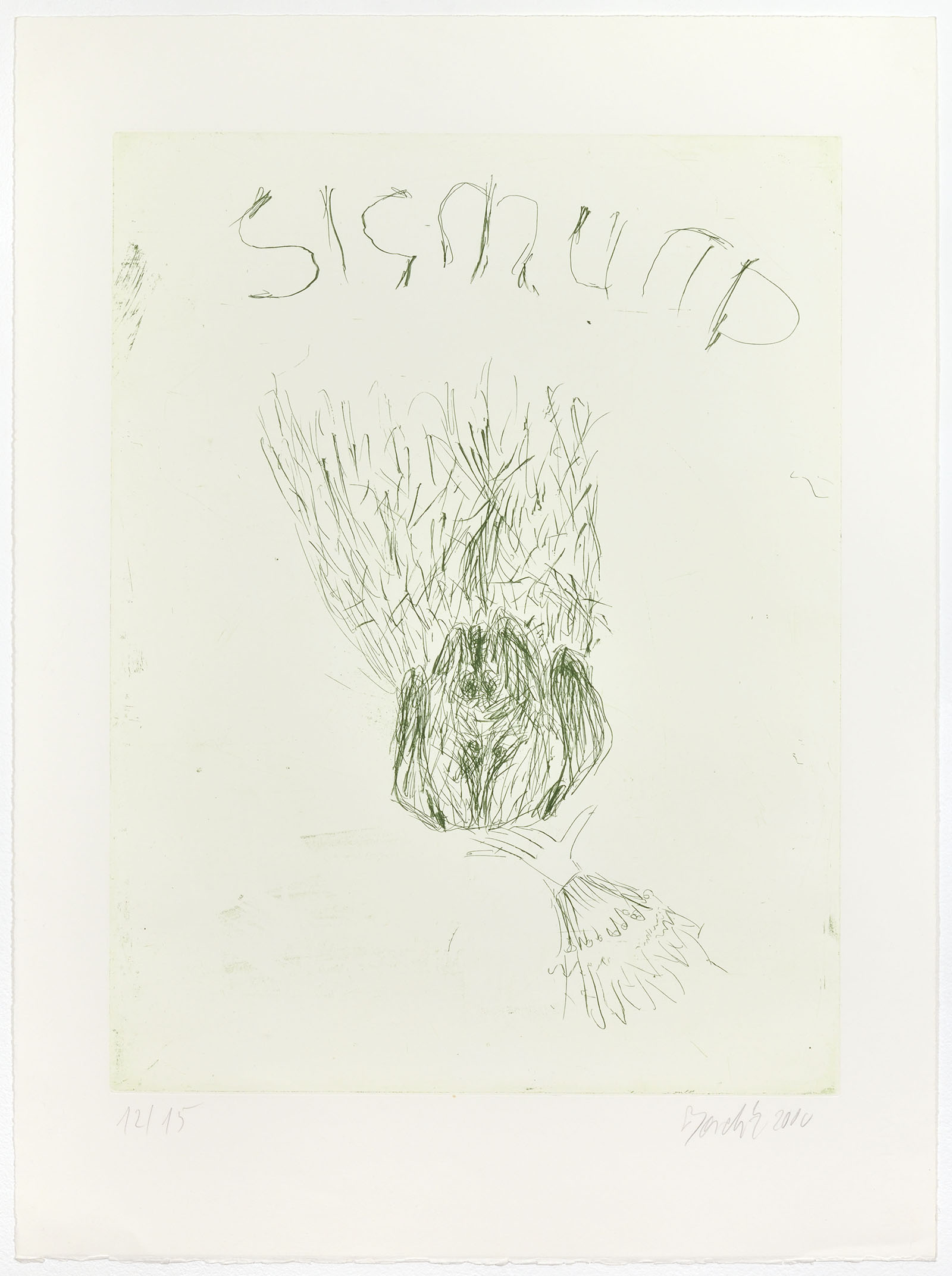 Wittelsbacher Schwan, 1999-2000