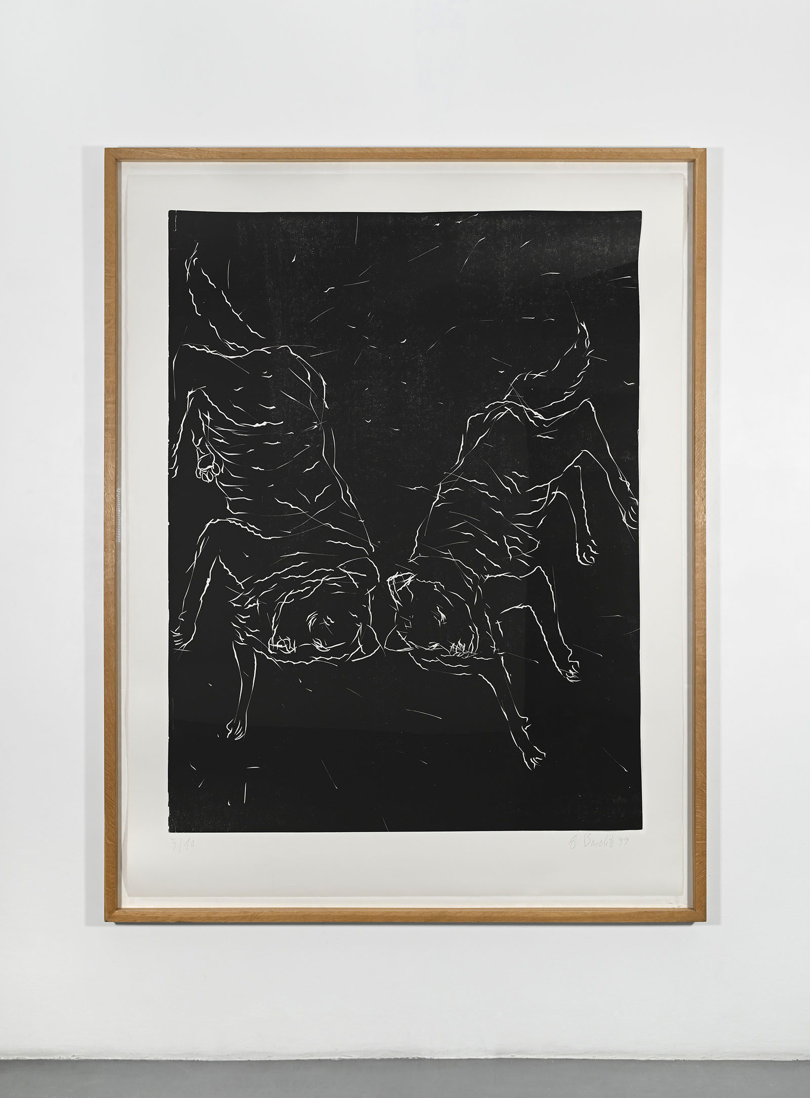 Zwei Hunde [Deux chiens], 1999