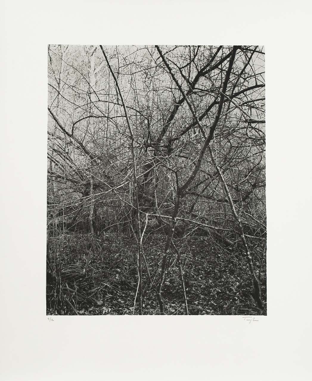 Sans titre # 2, 2004