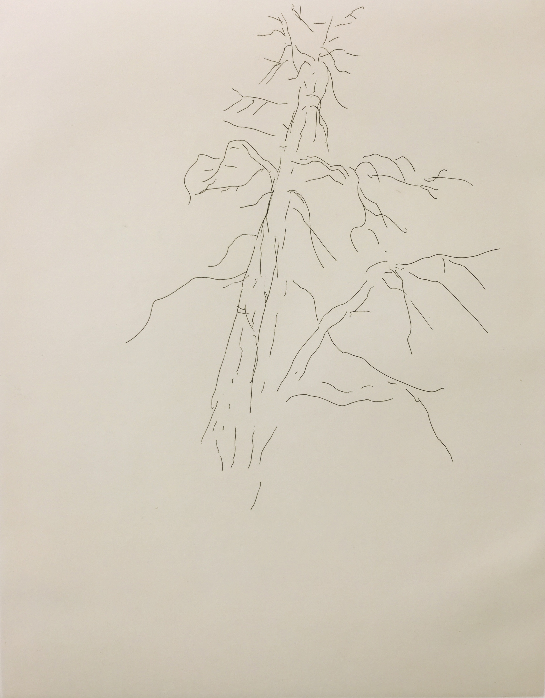 Pin � crochets IV, 2003