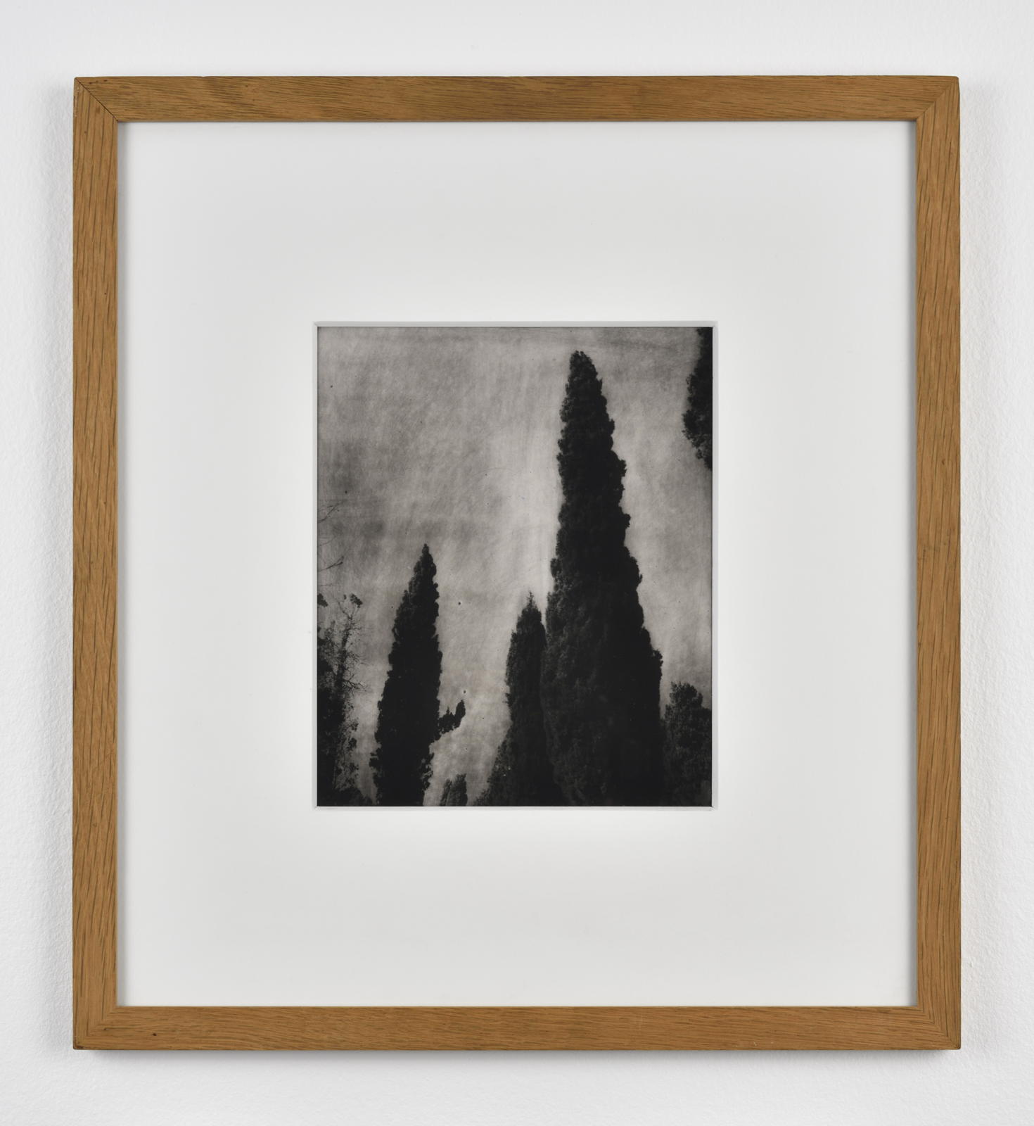 Cypr�s (Saint Pierre), 1992