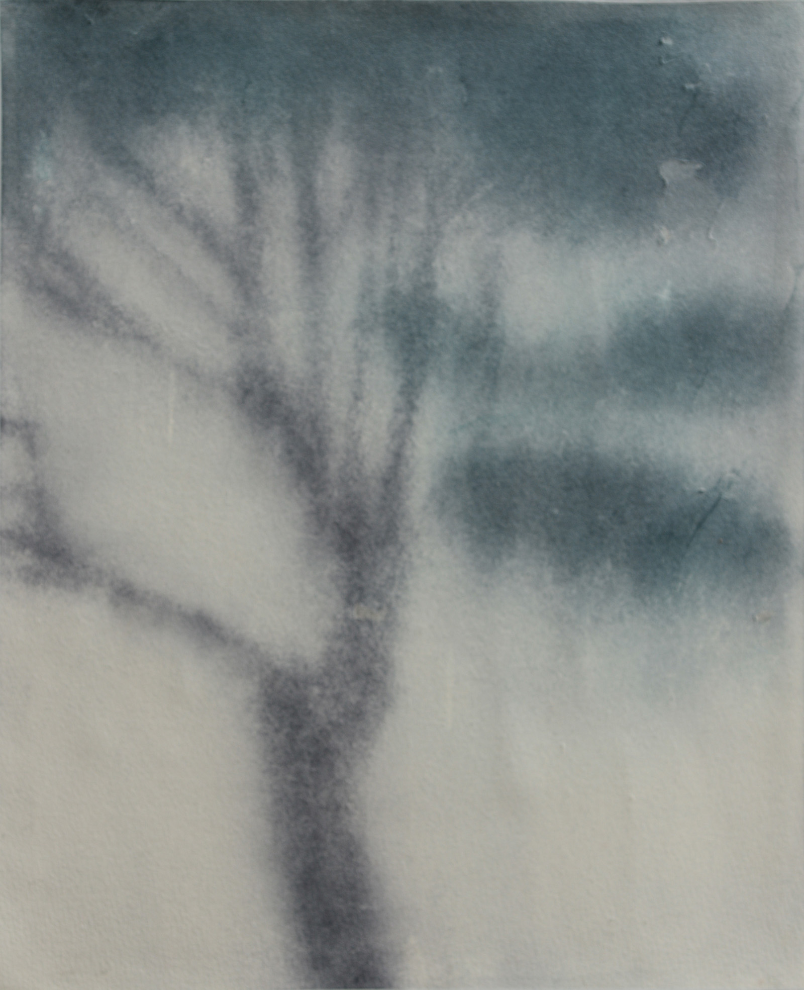 Le pin de la prairie, Meadow 2023, 2023