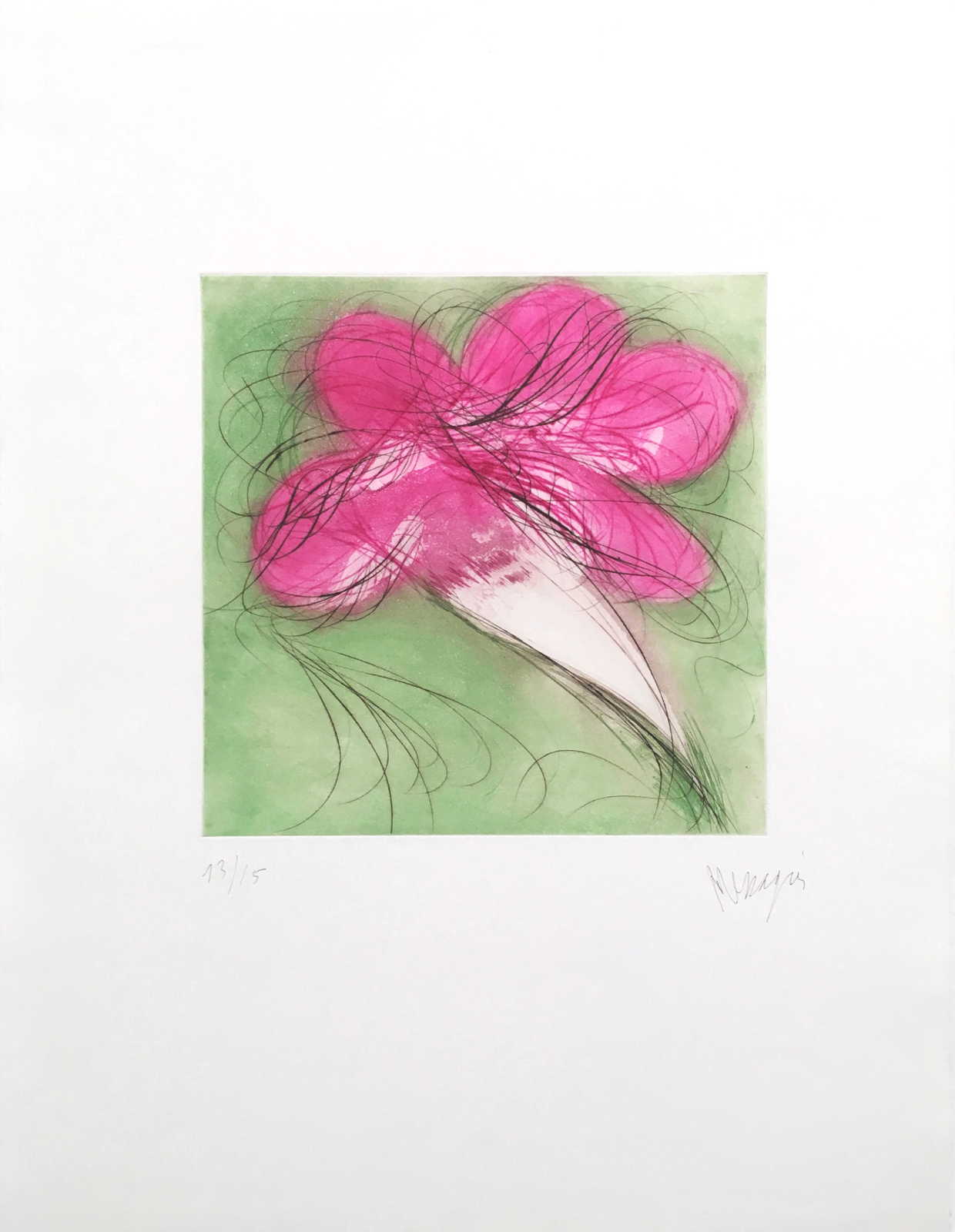 Le radis piqu� par les gu�pes, 1980