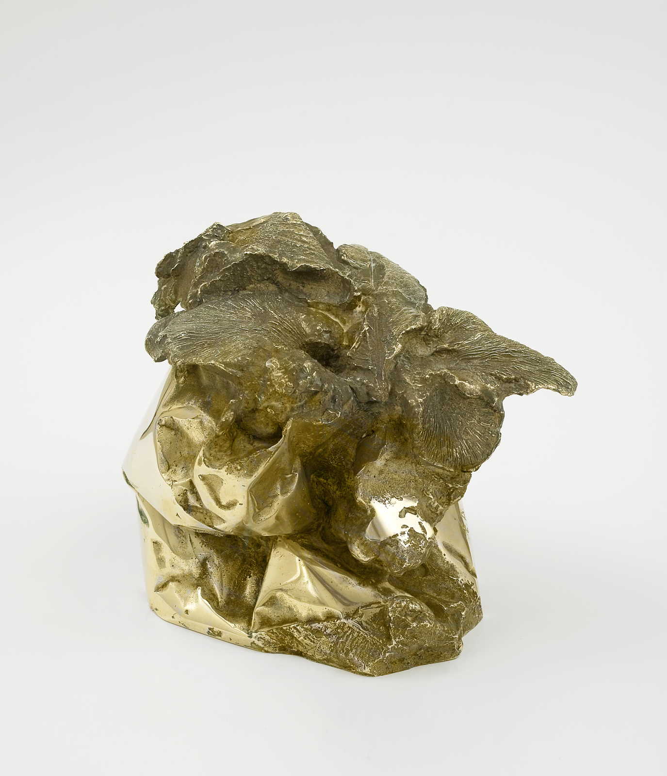 For�t cass�e, 1967