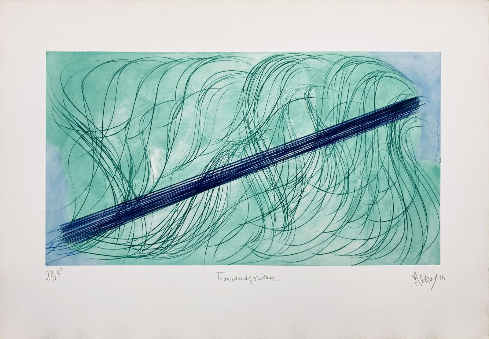 Transamazonienne, 1974