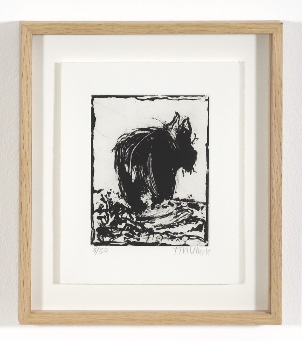 Sans titre - (cat. n�252), 1995