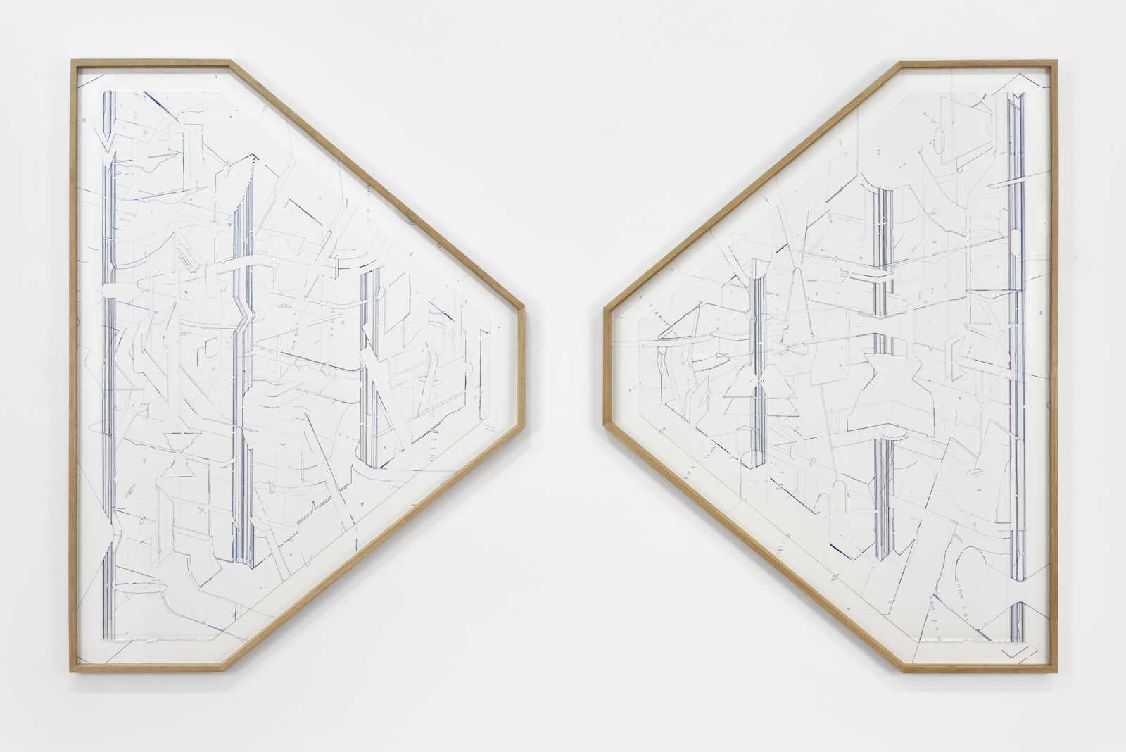 Bug report (Corpus), 2017