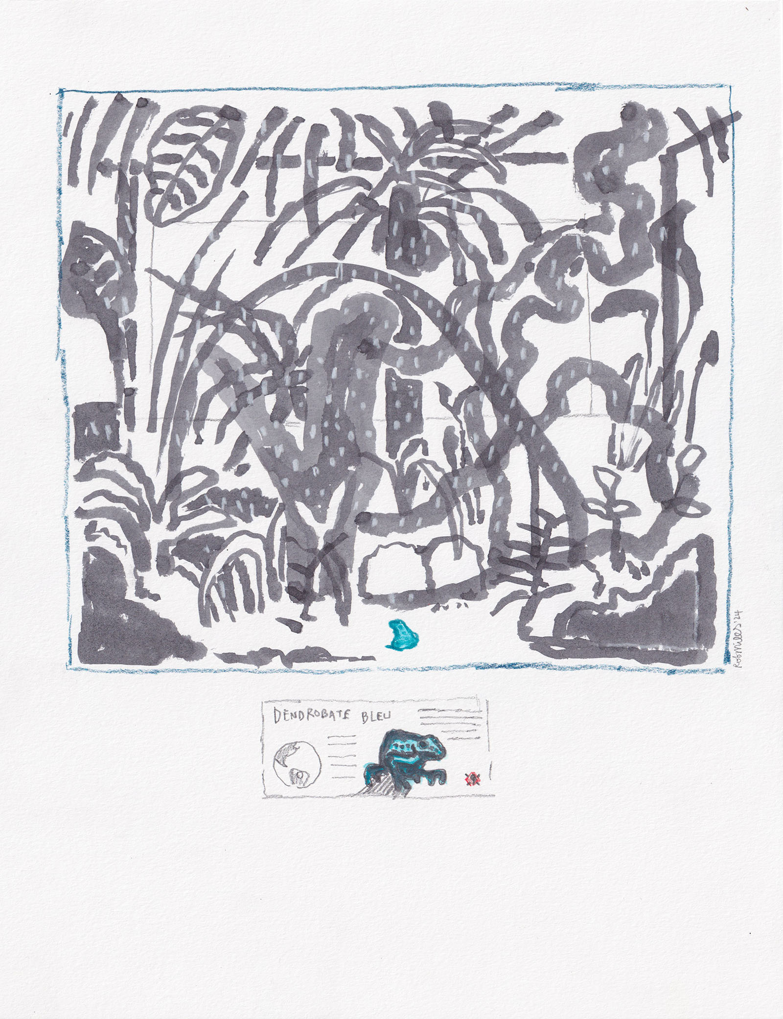 Dendrobate Bleue, 2024