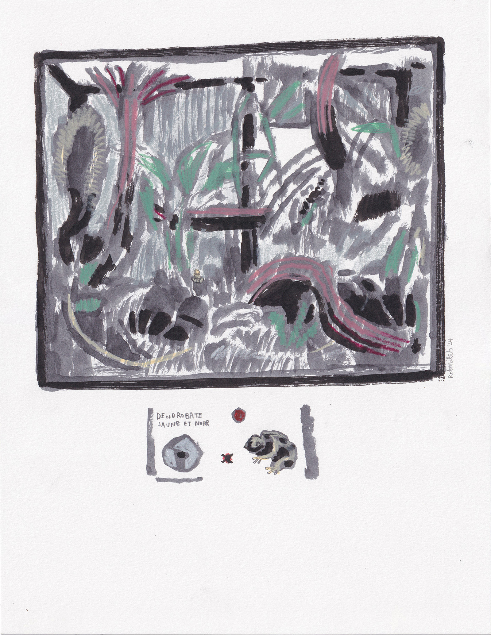 Dendrobate Jaune et Noir, 2024