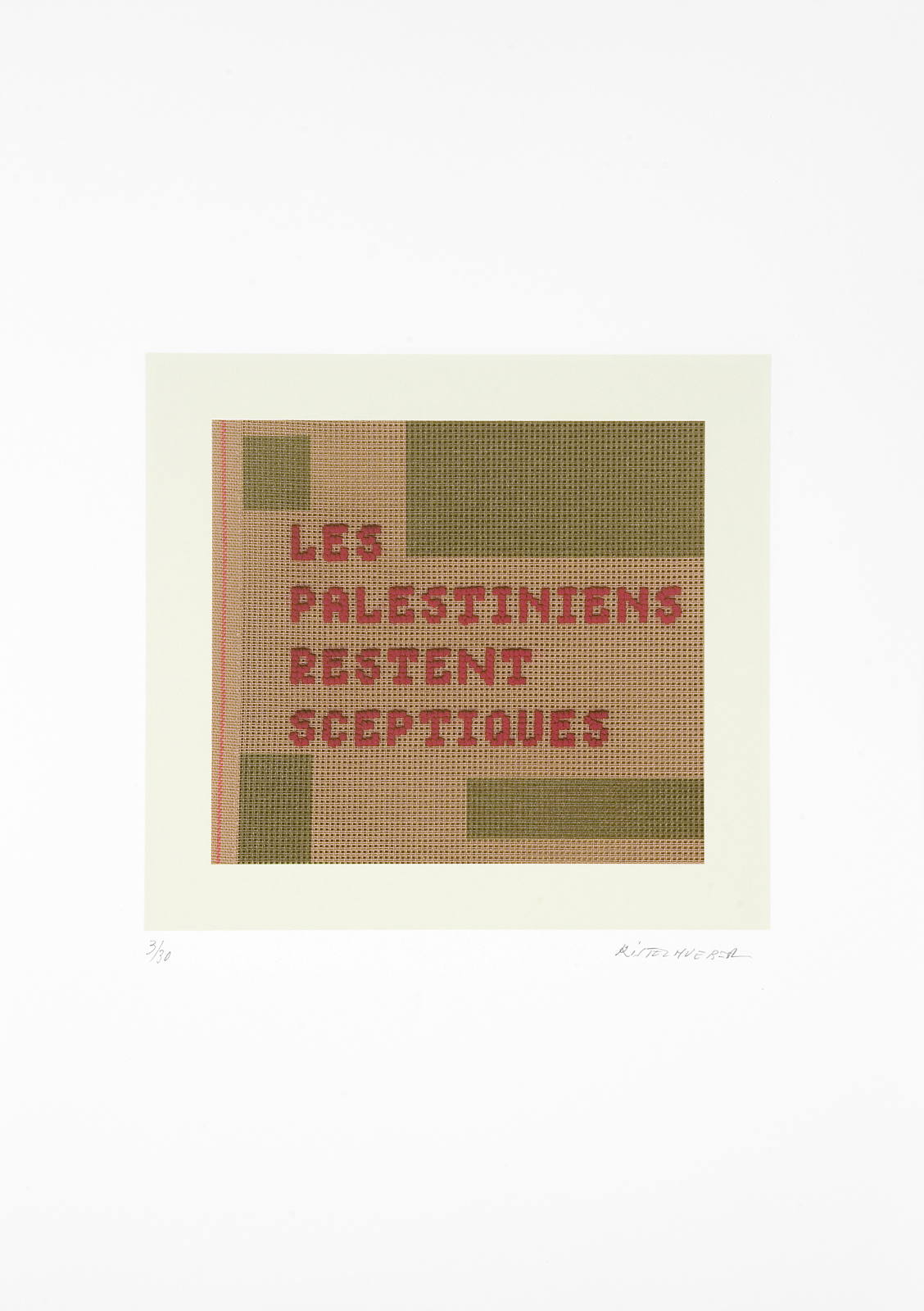 Les palestiniens, 2013