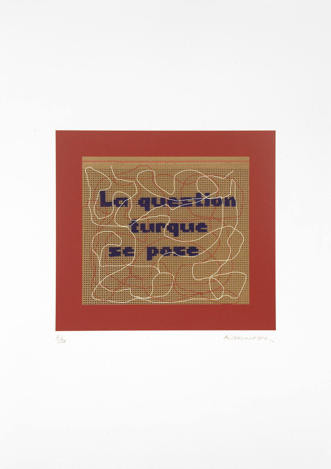 La question turque se pose, 2013