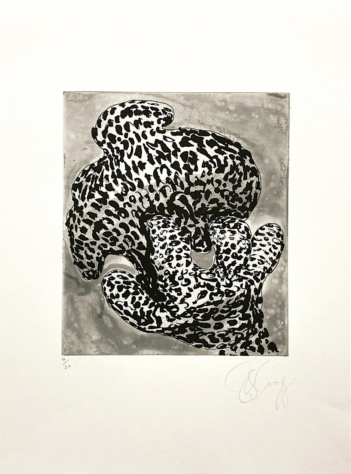 Forminifera (2), 2000