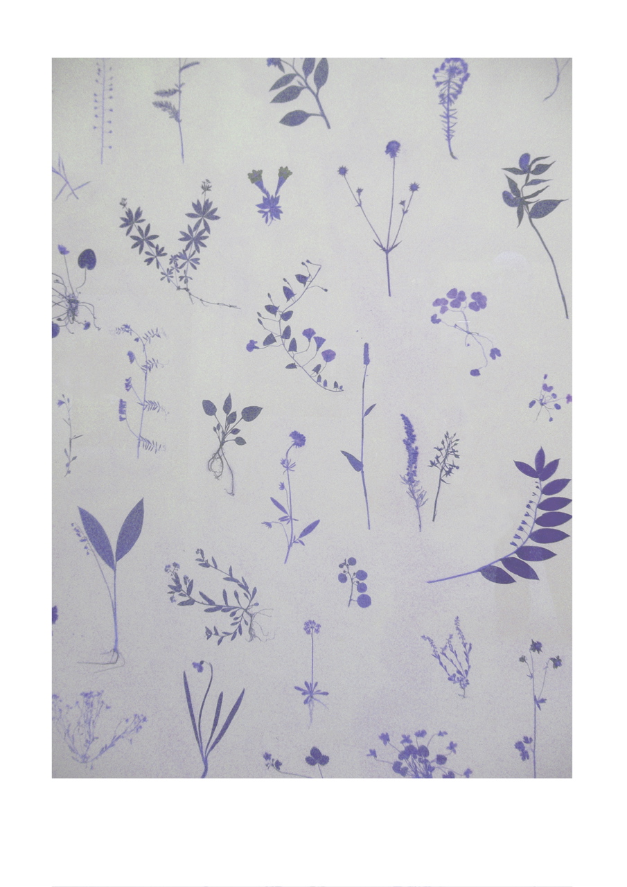 Ce qui reste de la clart� / The remains of clarity #3, 2006