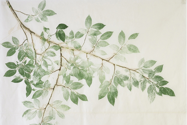 eloise-van-der-heyden